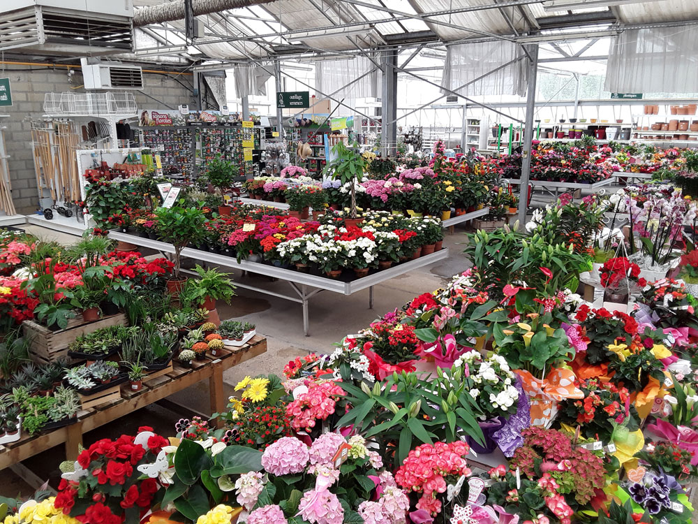 Les Serres du Vivier Guyon - Présentation