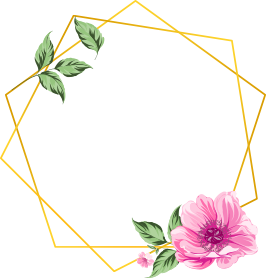 Les Serres du Vivier Guyon - Chirurgien Dentiste