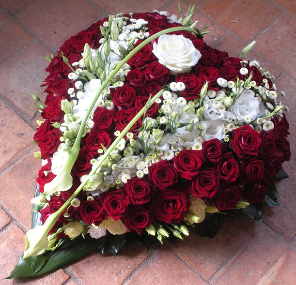 Roses rouges