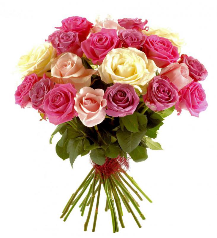 Bouquet de roses