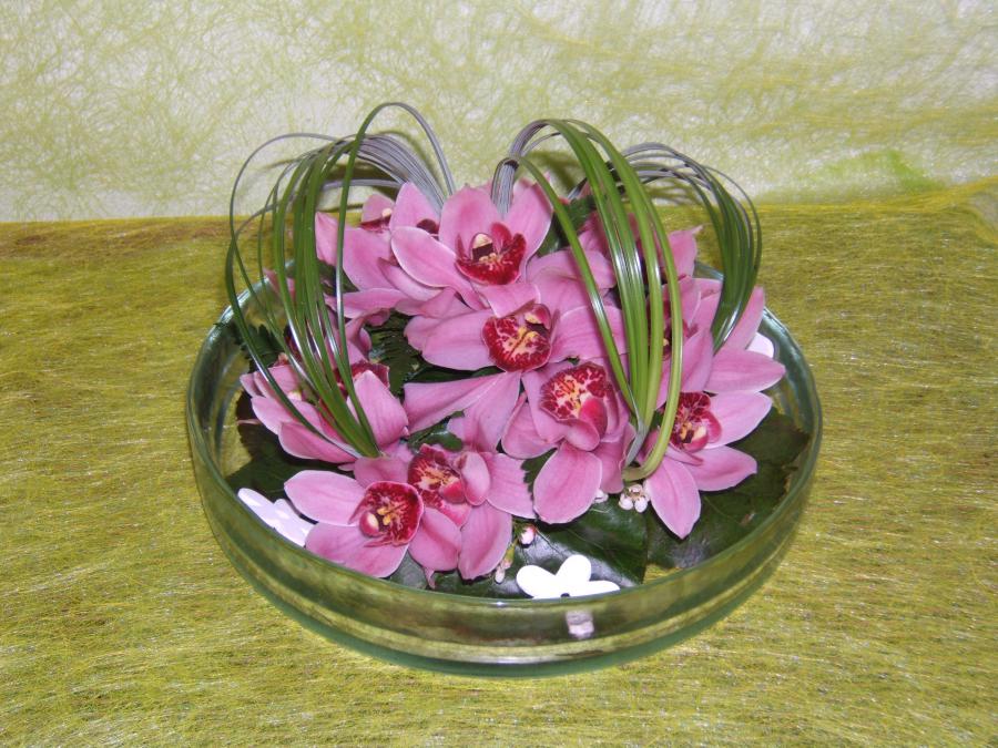 Cerrerie cymbidium